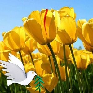 Meet your Posher, Leonor